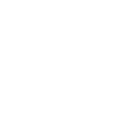 Flash Renting | El mejor renting de vehículos