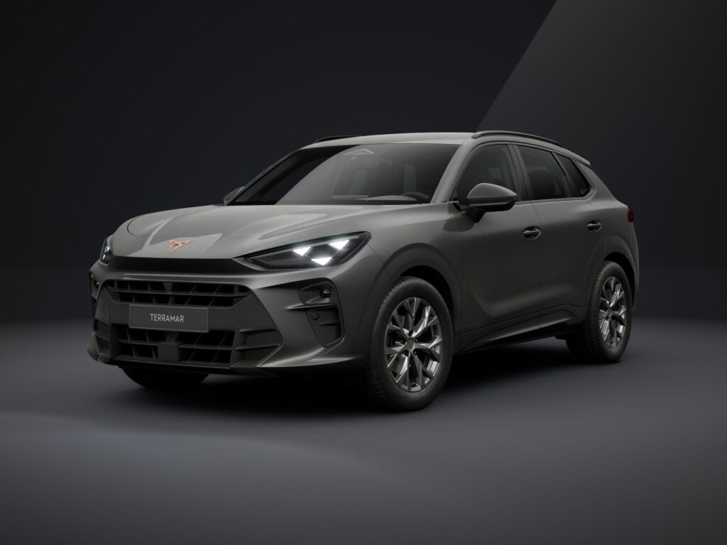 Renting Cupra Terramar detalle 1