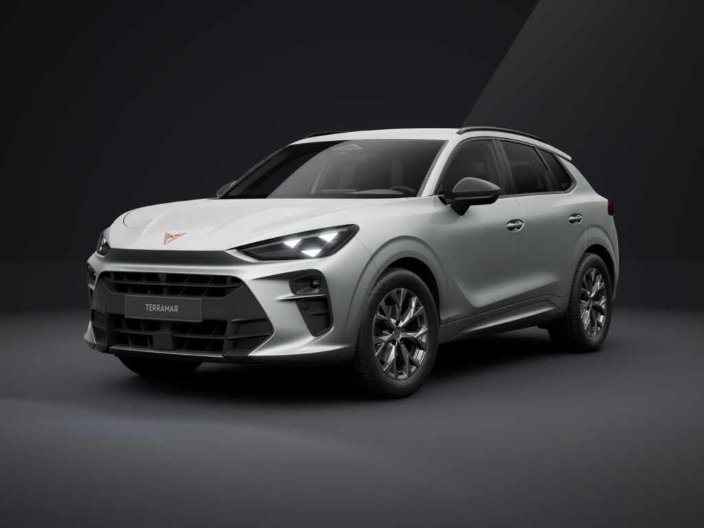 Renting Cupra Terramar detalle 1