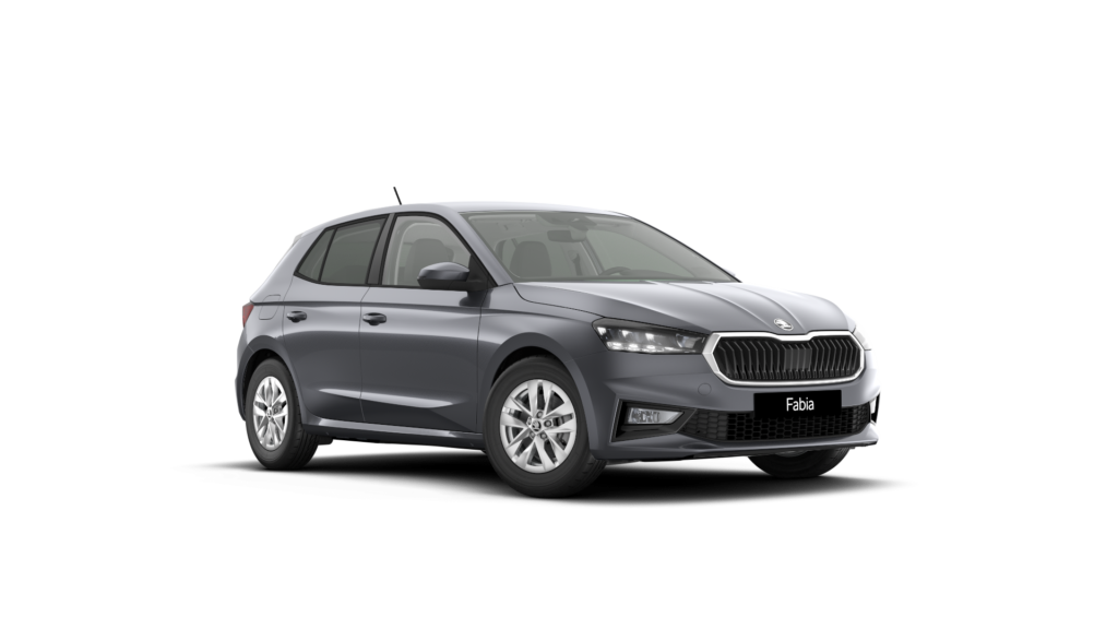 Renting Skoda Fabia detalle 1