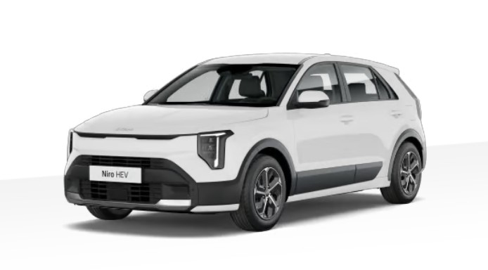 Renting Kia Niro detalle 1